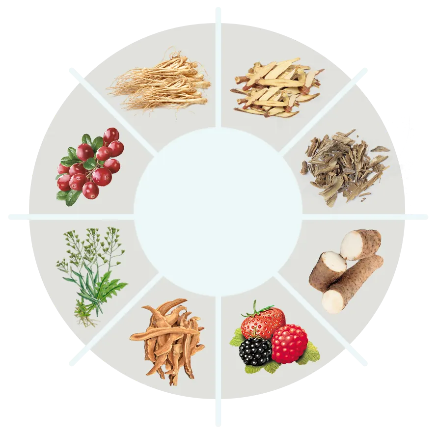 AquaSculpt ingredient overview